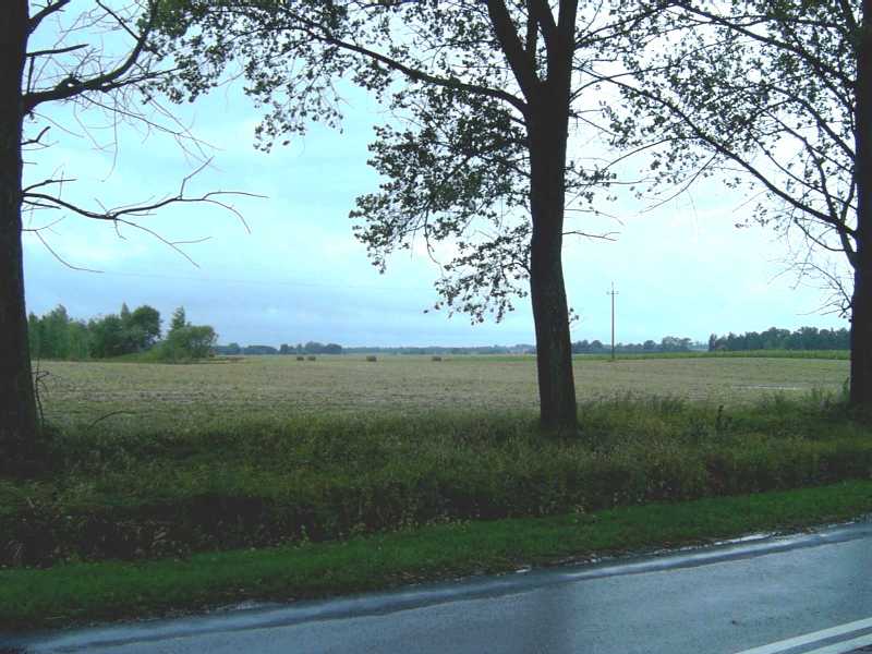 Polish countryside